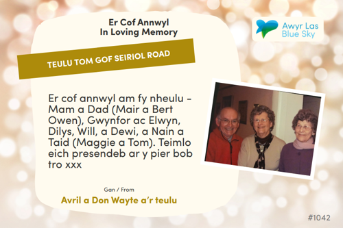 Awyr Las Dedicate a Light - Teulu Tom Gof Seiriol Road