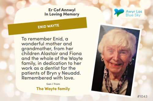 Awyr Las Dedicate a Light - Enid Wayte