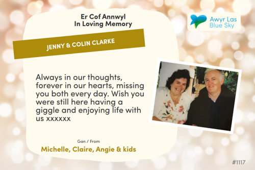 Awyr Las Dedicate a Light - Jenny & Colin Clarke