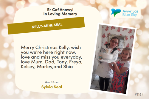 Awyr Las Dedicate a Light - Kelly-Anne Seal