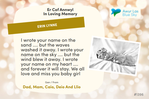 Awyr Las Dedicate a Light - Erin Lynne