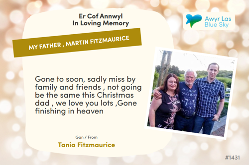 Awyr Las Dedicate a Light - my Father , Martin Fitzmaurice