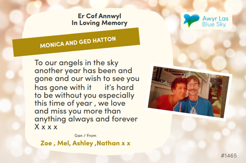 Awyr Las Dedicate a Light - Monica and Ged Hatton