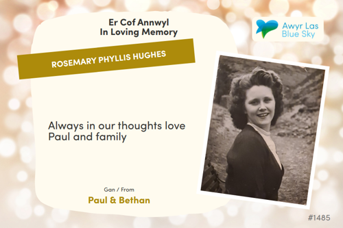 Awyr Las Dedicate a Light - Rosemary Phyllis Hughes