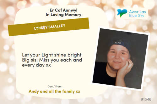 Awyr Las Dedicate a Light - Lynsey Smalley