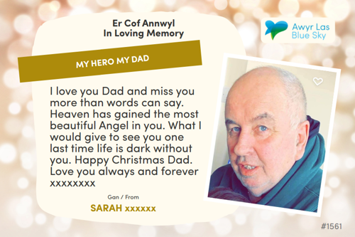 Awyr Las Dedicate a Light - My Hero My Dad