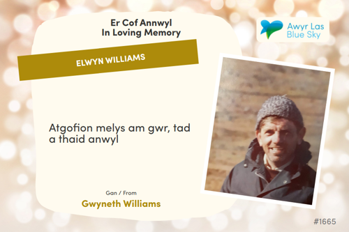Awyr Las Dedicate a Light - Elwyn Williams