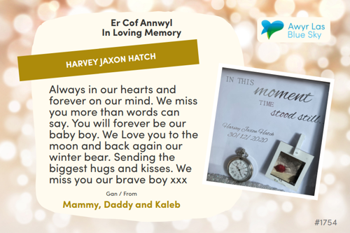 Awyr Las Dedicate a Light - Harvey Jaxon Hatch