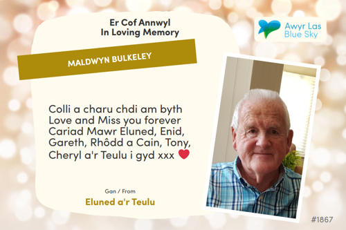 Awyr Las Dedicate a Light - Maldwyn Bulkeley
