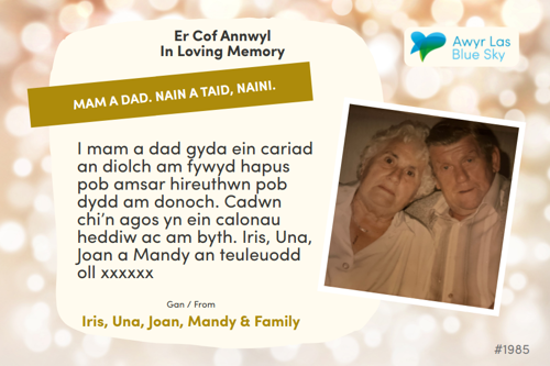 Awyr Las Dedicate a Light - Mam a Dad. Nain a Taid, Naini.