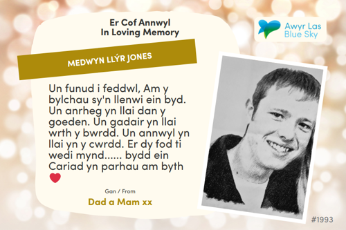 Awyr Las Dedicate a Light - Medwyn Llýr Jones