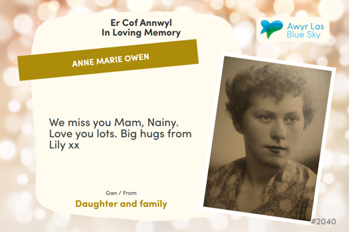 Awyr Las Dedicate a Light - Anne Marie Owen
