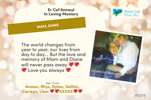 Awyr Las Dedicate a Light - Mam, Diane