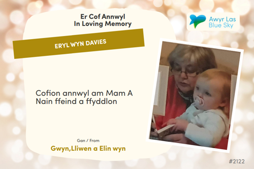 Awyr Las Dedicate a Light - Eryl Wyn Davies