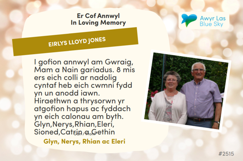 Awyr Las Dedicate a Light - Eirlys Lloyd Jones